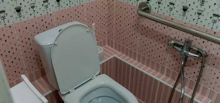 Meeting Diverse Needs With Accessible Restroom Solutions in Clinton, MS