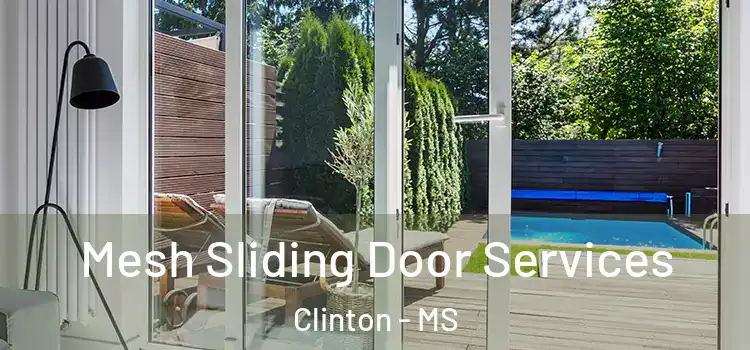 Mesh Sliding Door Services Clinton - MS